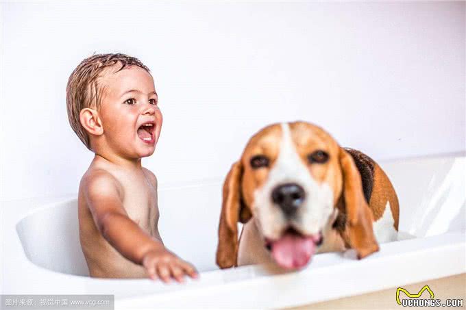 这10种狗最适宜与孩子相伴，它们耐心，勇敢