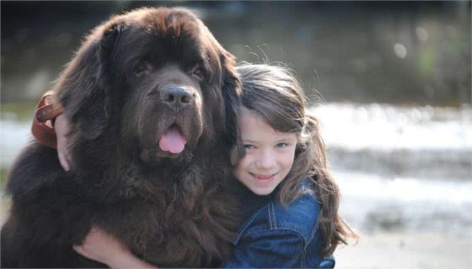 这10种狗最适宜与孩子相伴，它们耐心，勇敢