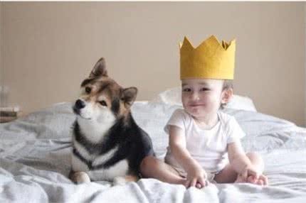 这10种狗最适宜与孩子相伴，它们耐心，勇敢