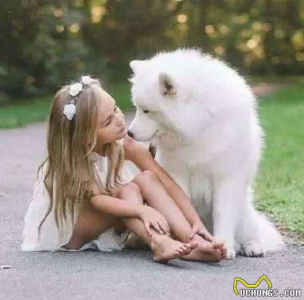 这10种狗最适宜与孩子相伴，它们耐心，勇敢