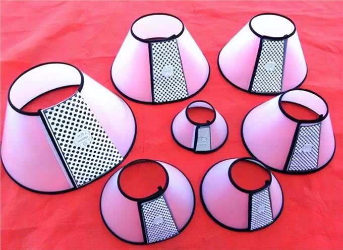 厉害了!四招教你祛除博美泪痕