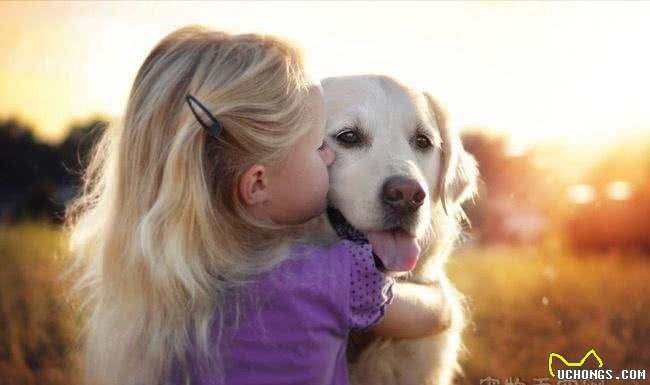 家里的小狗总喜欢乱拉屎拉尿，该怎么办?