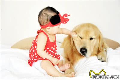 你还在用家用杀虫剂给狗狗驱虫?快去看医生吧!