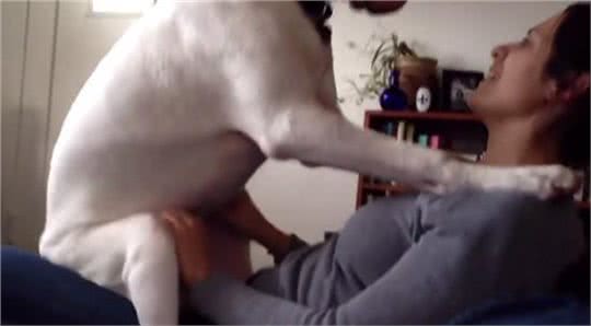 养了一只狗，就等于养了一个孩子