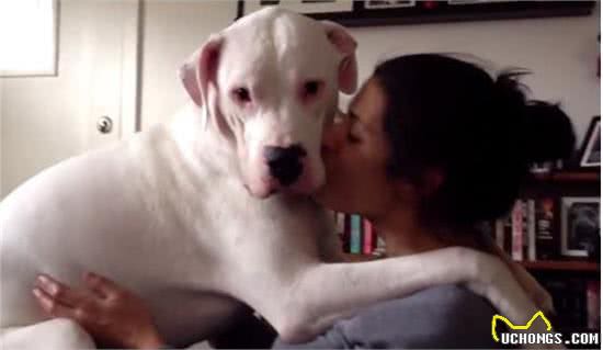 养了一只狗，就等于养了一个孩子