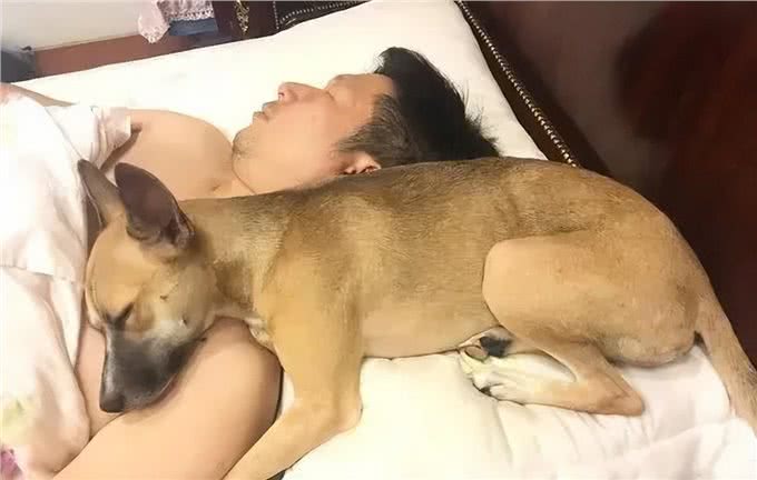 狗狗上床睡觉，并非单纯为了休息，更多的是在与你进行情感的交流