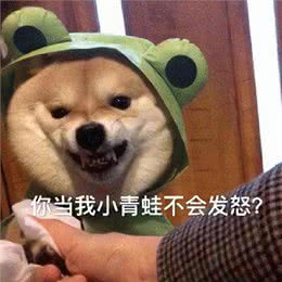 超准!你的性格，决定了养什么狗狗，深入内心的解析