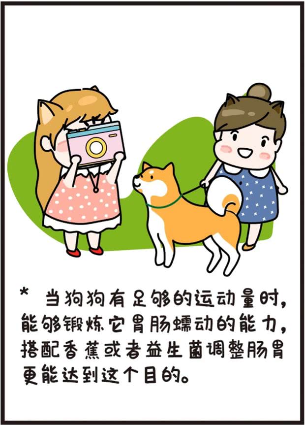 铲屎官深刻体会狗狗放臭屁，放一连串的响屁来炸你咧?