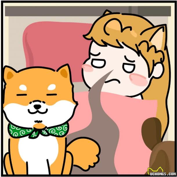 铲屎官深刻体会狗狗放臭屁，放一连串的响屁来炸你咧?