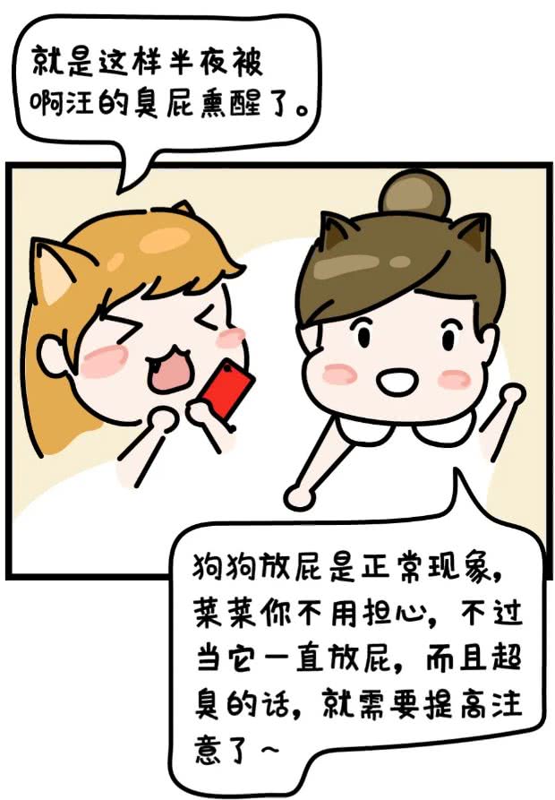 铲屎官深刻体会狗狗放臭屁，放一连串的响屁来炸你咧?