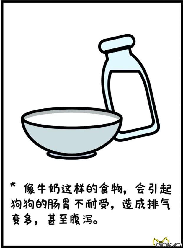 铲屎官深刻体会狗狗放臭屁，放一连串的响屁来炸你咧?