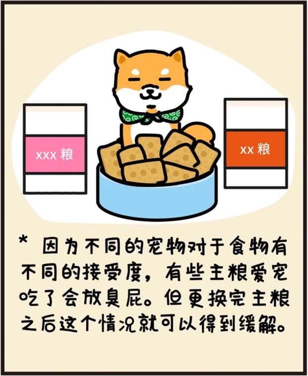 铲屎官深刻体会狗狗放臭屁，放一连串的响屁来炸你咧?