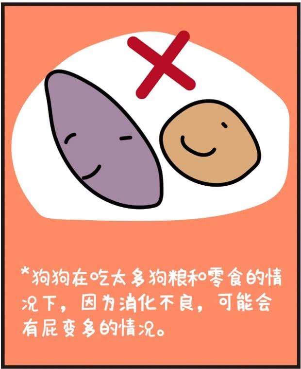 铲屎官深刻体会狗狗放臭屁，放一连串的响屁来炸你咧?