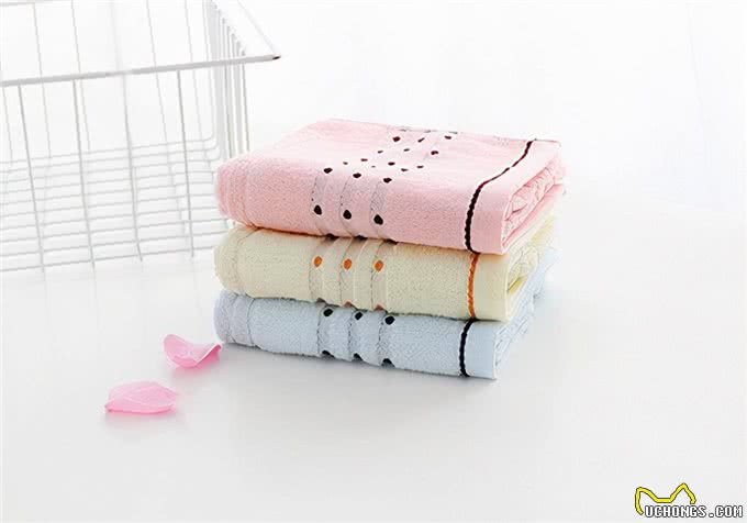 保养方法:狗狗月经吃什么补血?还有没有护理措施要注意?