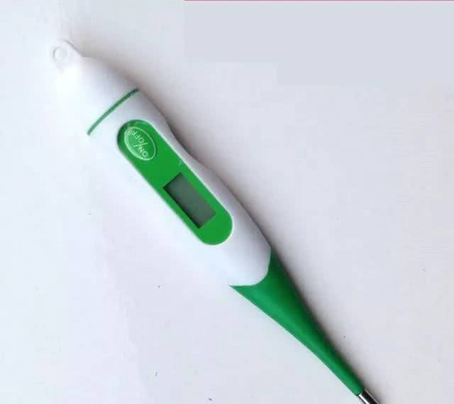 家有爱犬须知，给狗狗测量体温的那些事儿