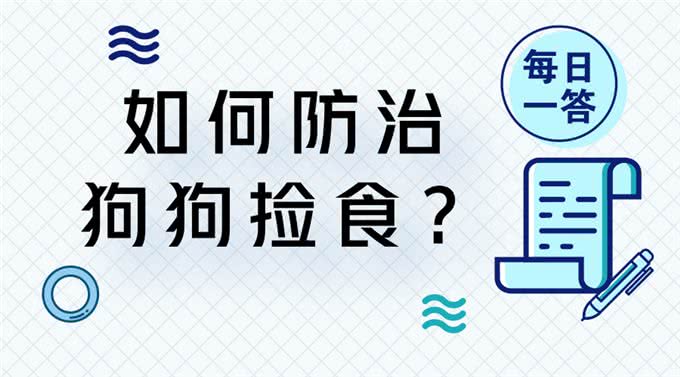 如何防治狗狗捡食?