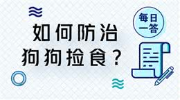 如何防治狗狗捡食?
