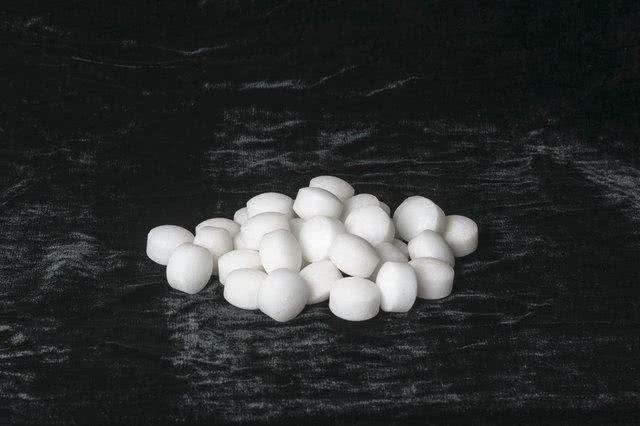 狗狗误食樟脑丸会中毒?有一种会，轻则呕吐重则贫血肝肾损伤