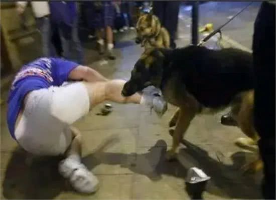 爸爸为保护儿子不被未栓绳的狗咬却被狗主人一拳打倒