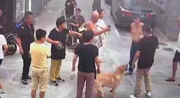 爸爸为保护儿子不被未栓绳的狗咬却被狗主人一拳打倒