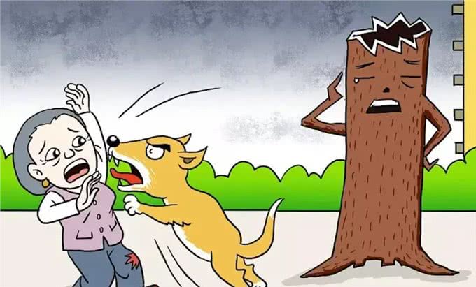 狗为何会攻击人?案件揭秘