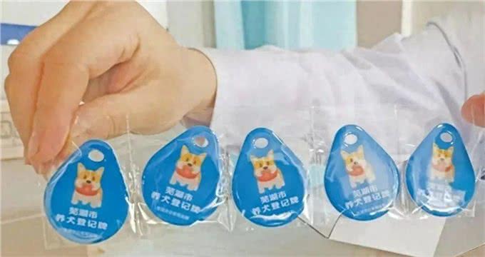 事关养犬!芜湖最新解答