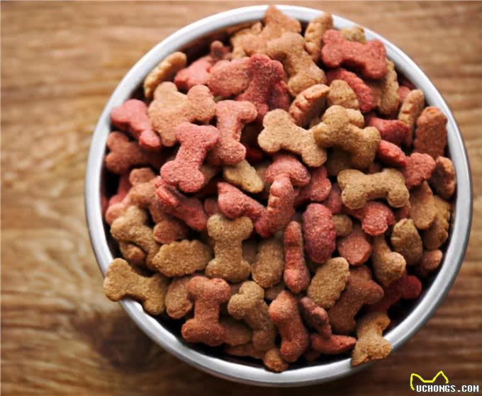 松狮犬吃什么牌子狗粮好?松狮犬狗粮推荐?怎么挑选狗粮?