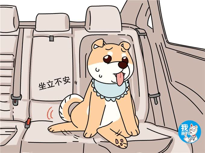 国庆带狗狗自驾游，别急着规划行程，首先得解决晕车问题