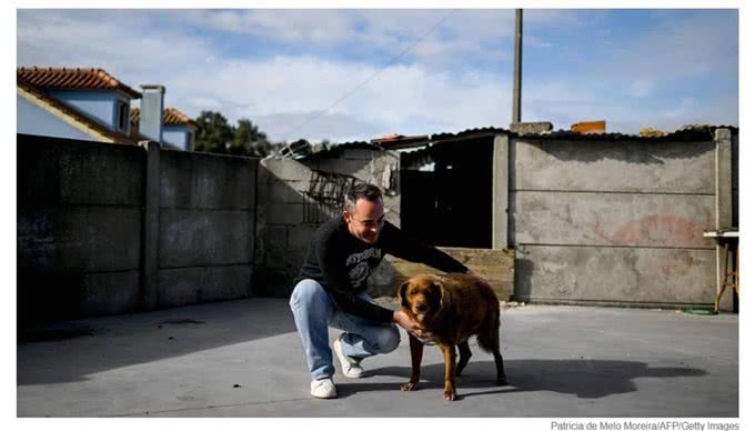 世界上最长寿的狗迎来31岁生日,数百人庆祝