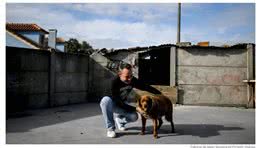 世界上最长寿的狗迎来31岁生日，数百人庆祝