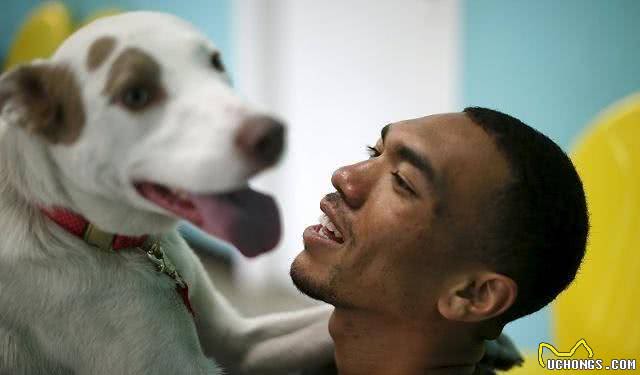 狗狗用爪子扒拉你,其实是在暗示这些事