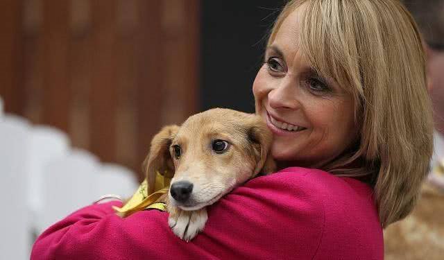 狗狗用爪子扒拉你,其实是在暗示这些事