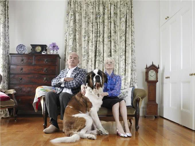 最爱流口水的10大狗狗，西施犬居然在里面，太毁形象了