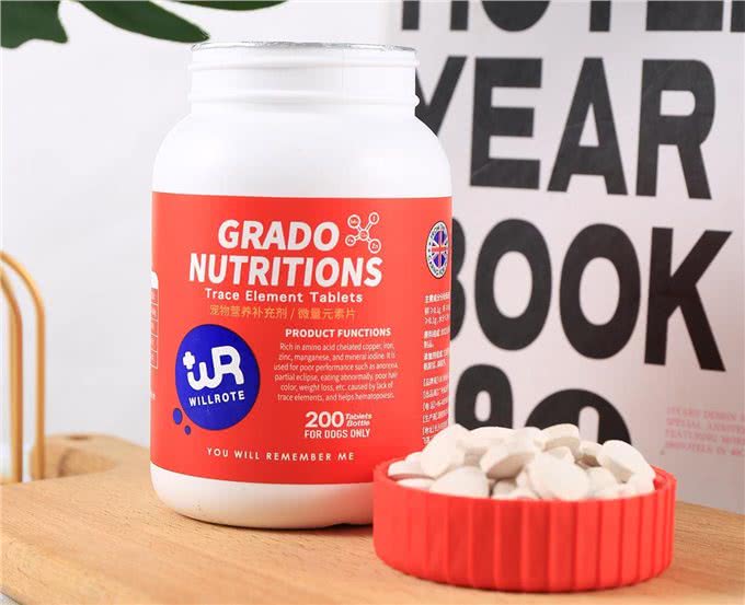 为什么狗狗不能吃巧克力?严重损害身体健康