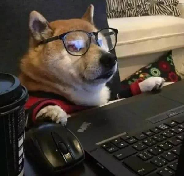 租户养狗咬坏家具，赔不赔?