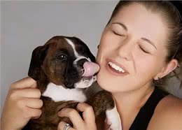 狗狗的舌头舔人很脏?别嫌弃，原来它舔人有这么多好处!