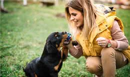 这4种护卫犬，堪称最勇猛的狗狗，罗威纳犬上榜