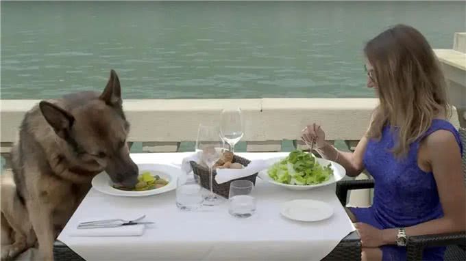 一条狗身价24亿,12个仆人全天待命,每次吃饭都有美女陪伴