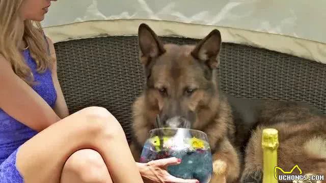 一条狗身价24亿,12个仆人全天待命,每次吃饭都有美女陪伴