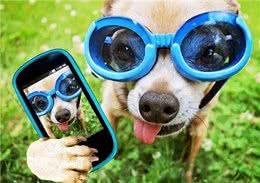 天热季节，养狗牢记这5不要，对它有益处