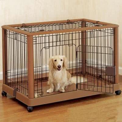 狗狗住笼子的习惯是怎么训练的