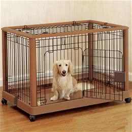 狗狗住笼子的习惯是怎么训练的