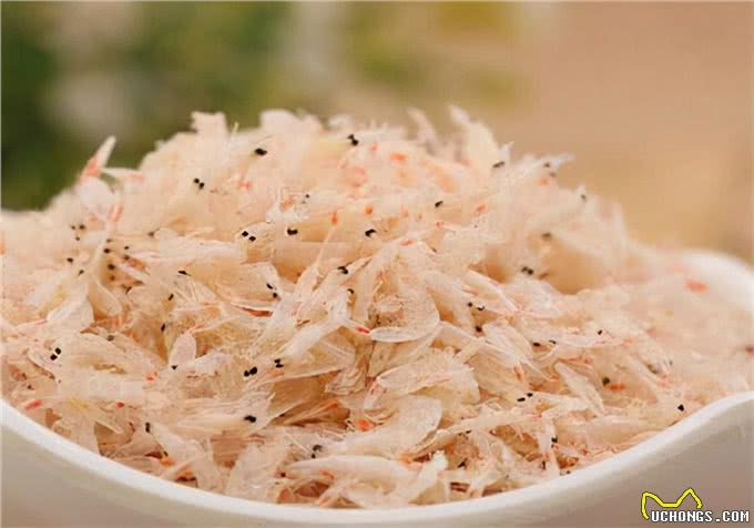 补钙方法:狗狗钙片哪个牌子好?应该看牌子还是看成分呢?