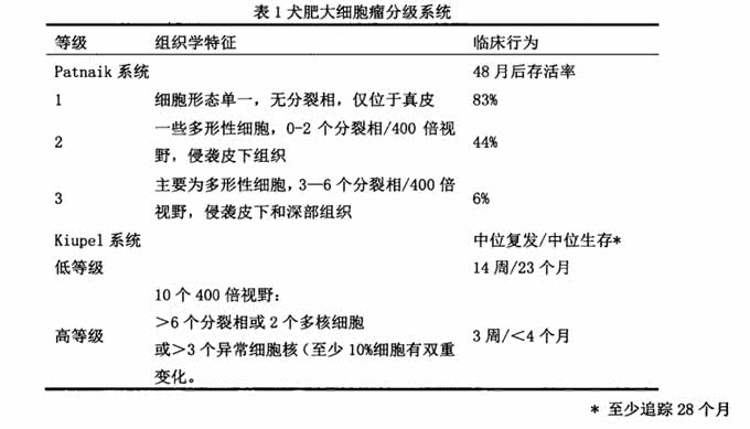 犬猫的肥大细胞瘤!还不了解一下?