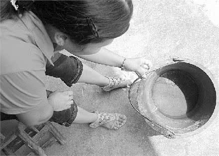 想发现金矿吗?那么就养一只动物吧,盘点动物的逆天找矿能力