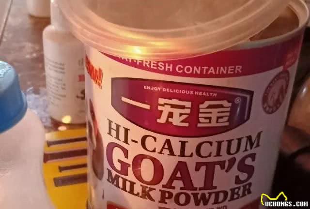 教你正确的给狗狗打疫苗的时间以及发现狗狗缺钙的正确处理方法