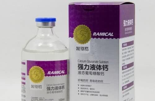 教你正确的给狗狗打疫苗的时间以及发现狗狗缺钙的正确处理方法