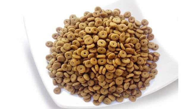 狗粮的选择以及喂养时的注意事项，这些你了解吗?