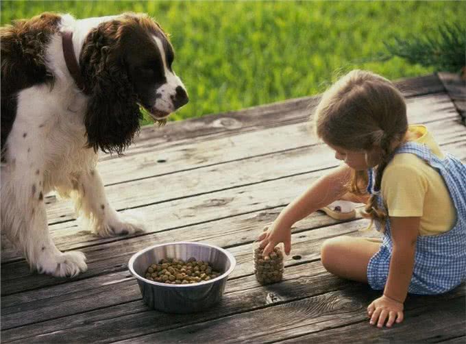为了狗狗肠道健康，别犯这些错误，对它没益处