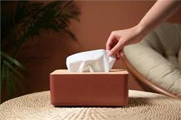 狗玩纸巾背后的三大心理误区及误食纸巾的严重性对策